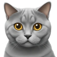 Sheeran Qu's profile picture